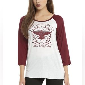 Fantastic Beasts and Where to Find them t-shirt